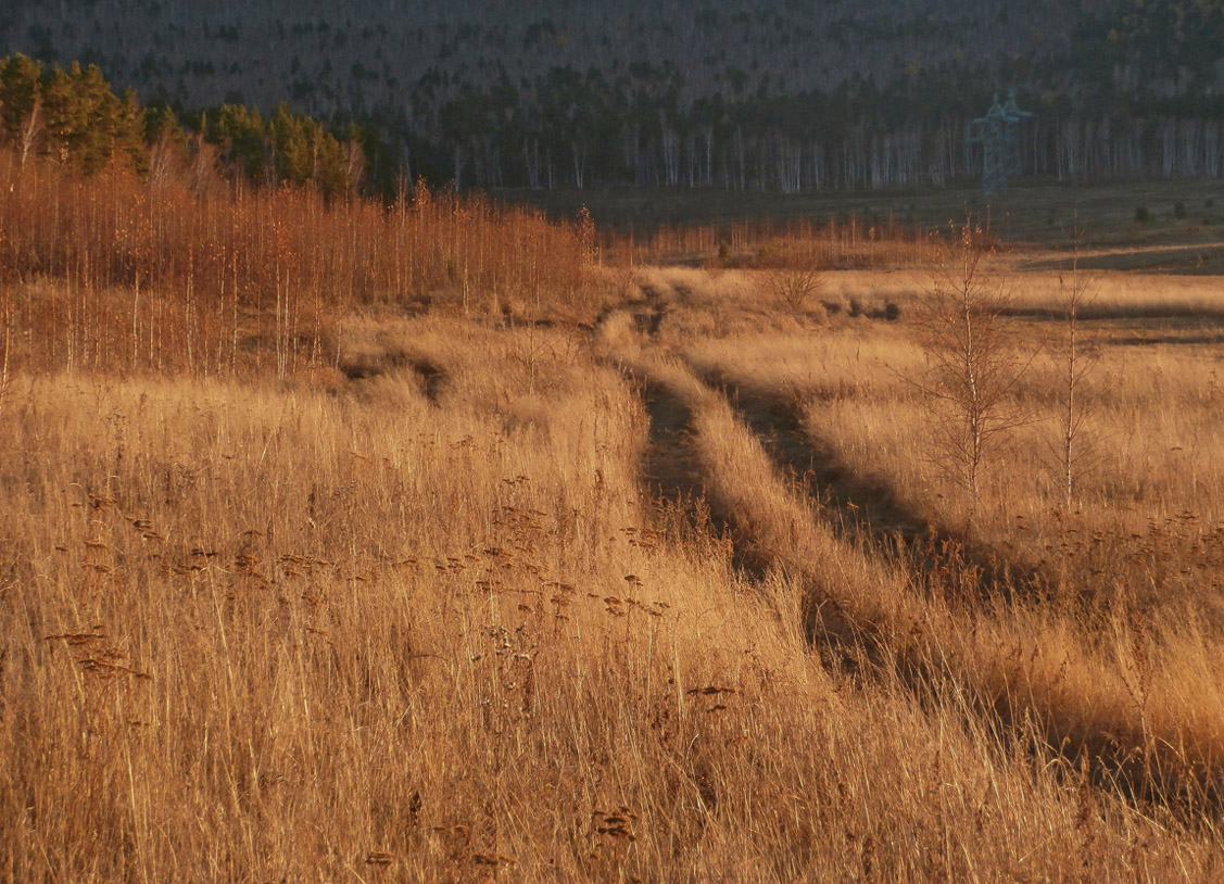 ������� ������