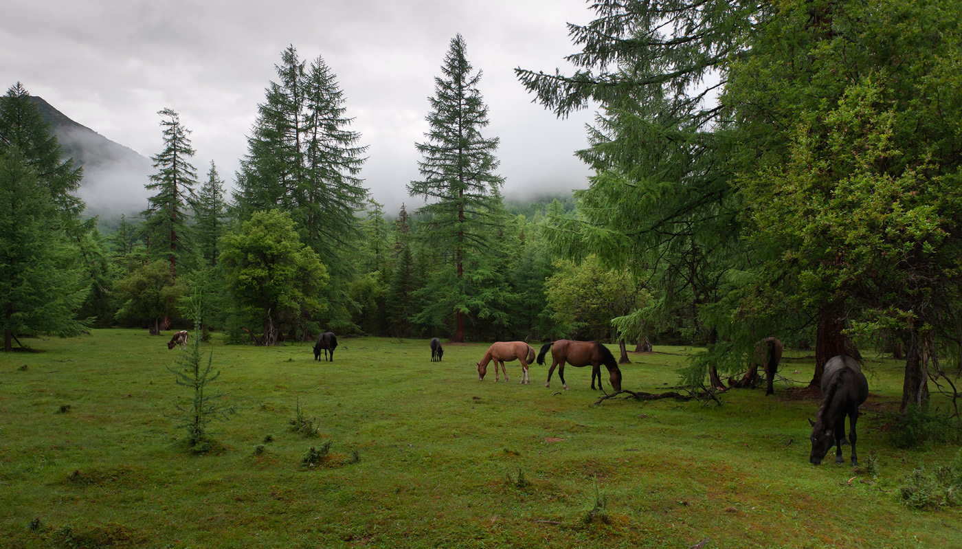 ��������� �����...