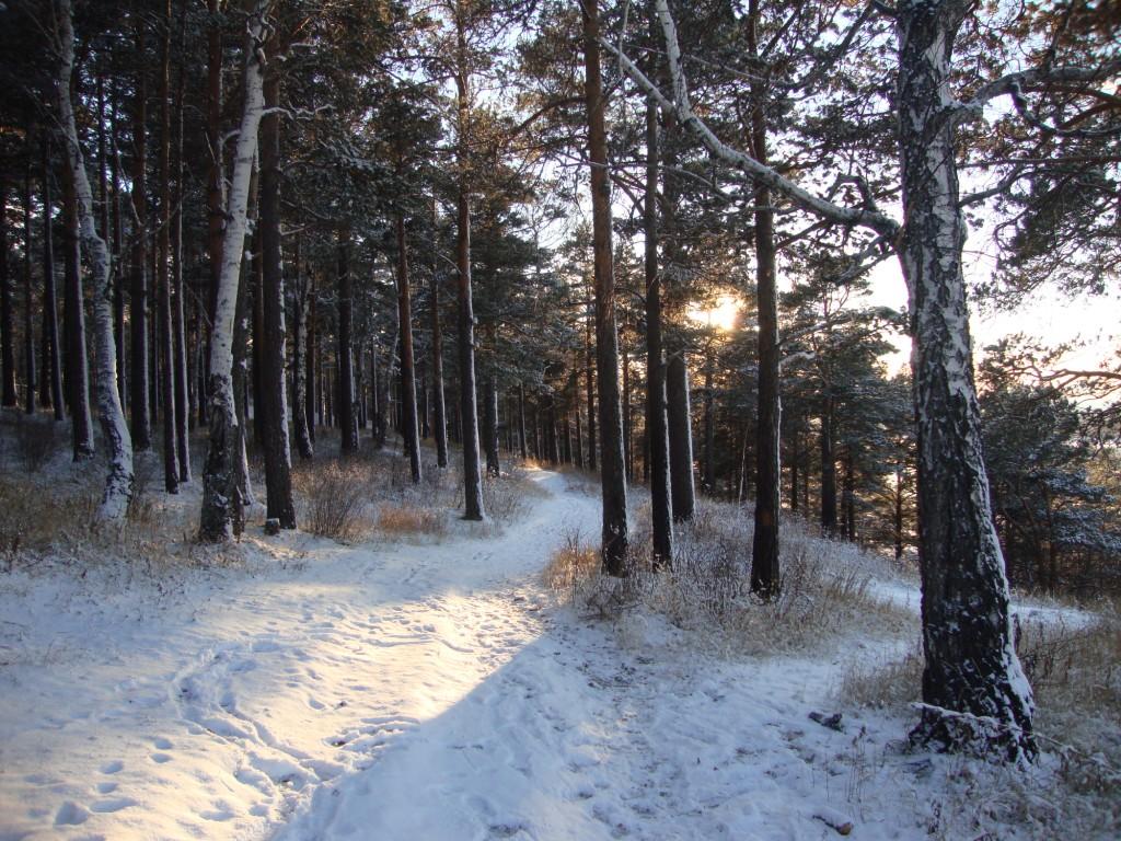 ������� ������ ������ ����� ������ 2