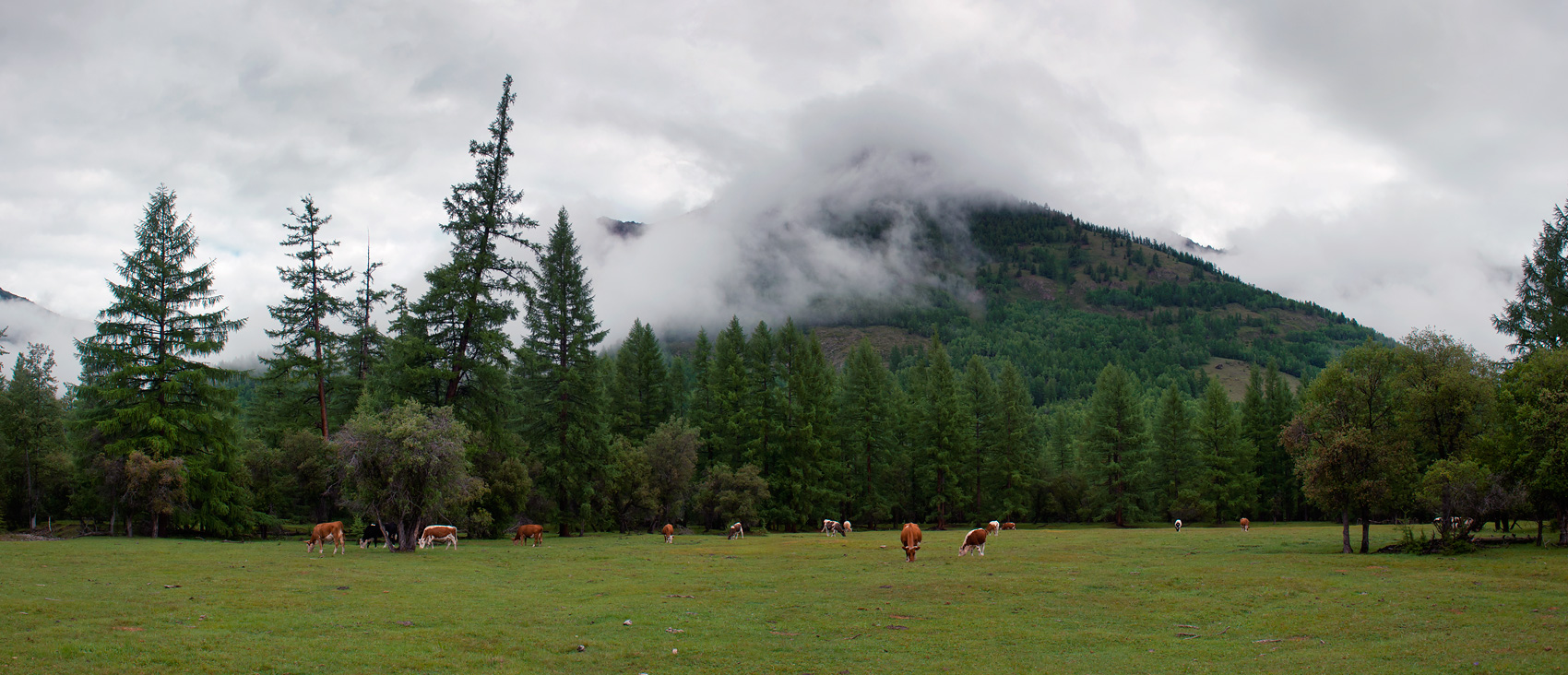 ������ � ��������...2