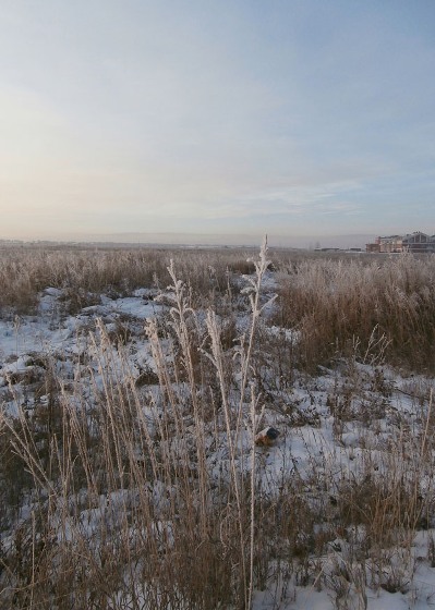 � ��������...