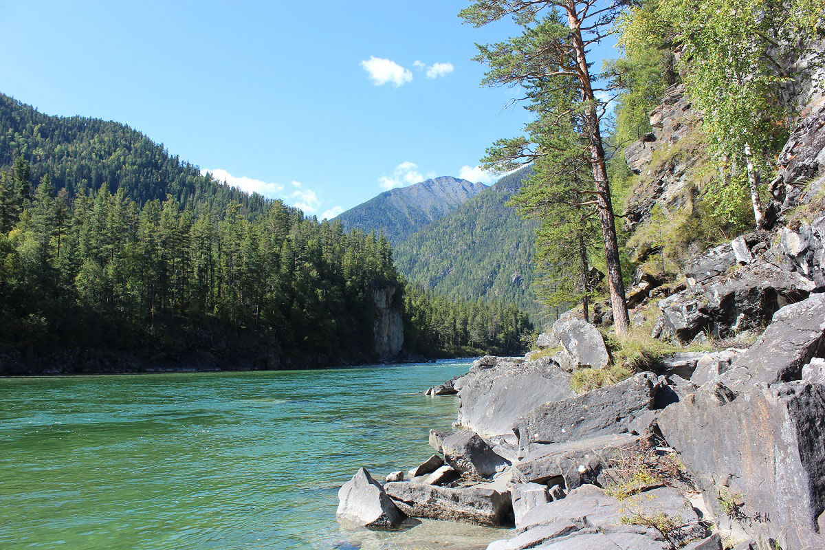 ������� ���� ���� ��������