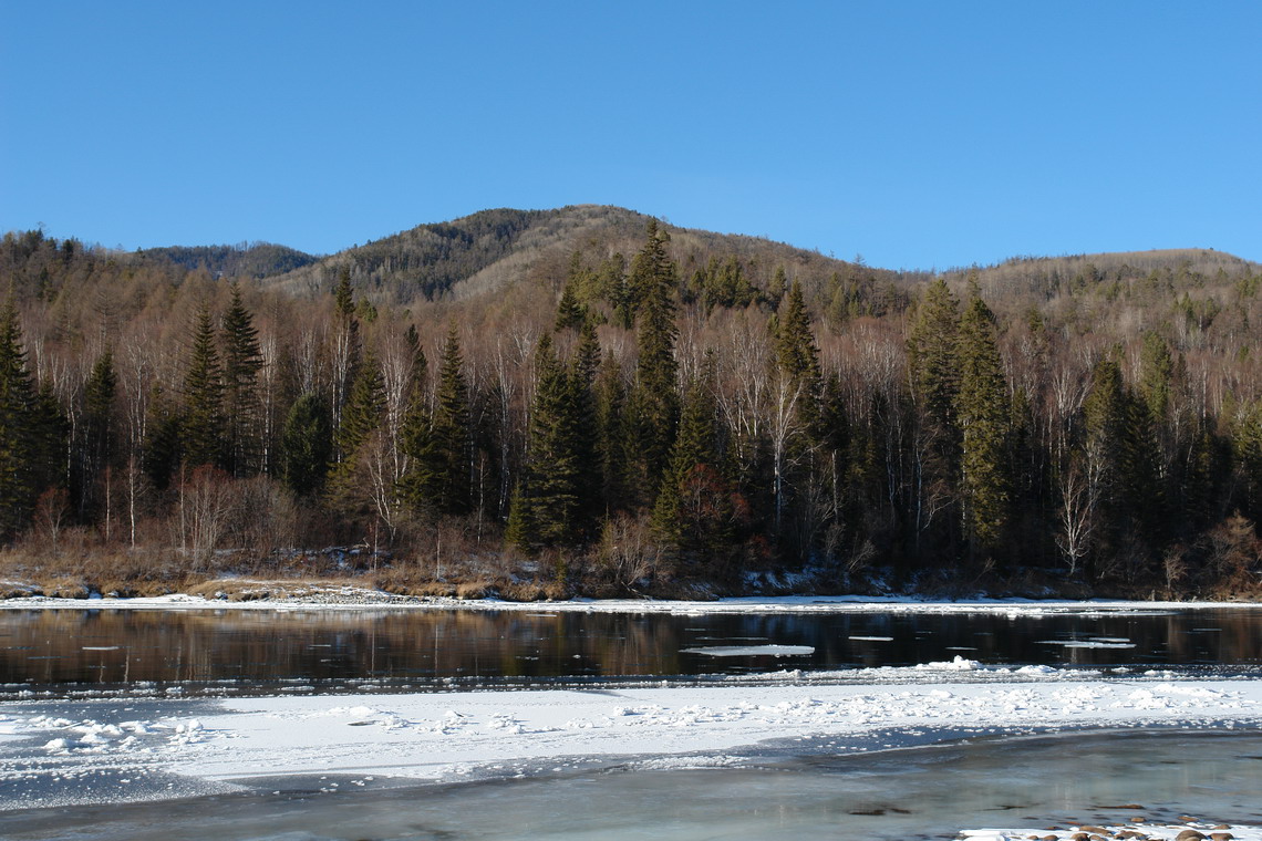 ������� ������� �� ������