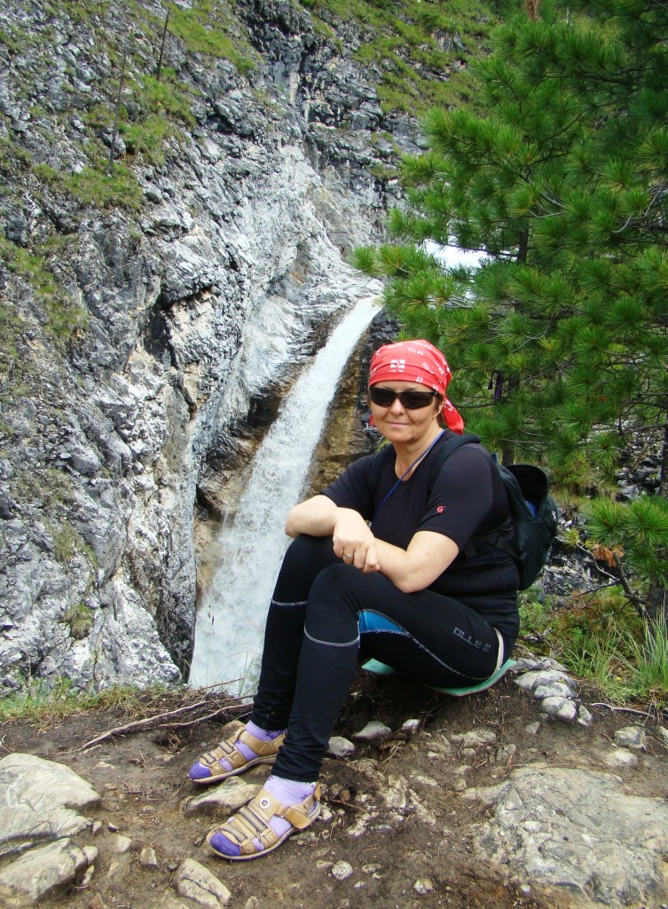 2011 �����