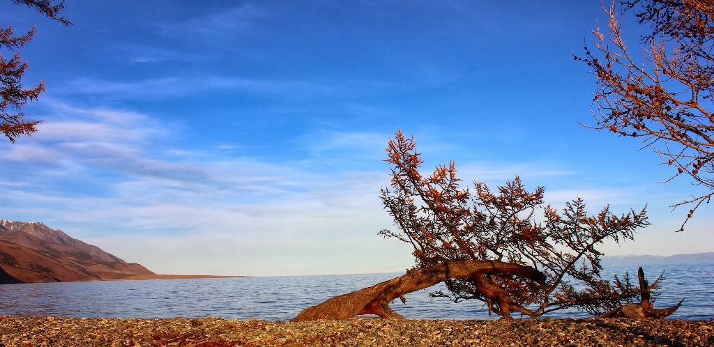 ����������...