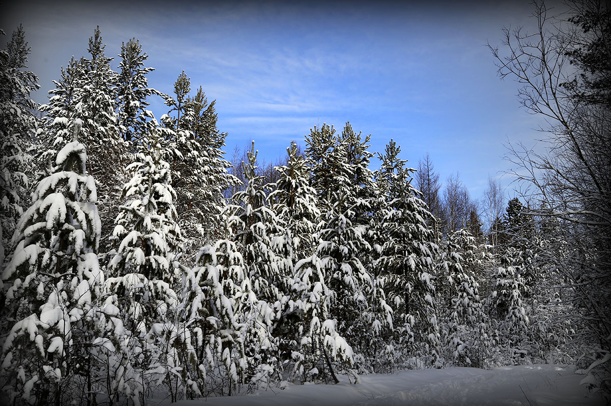 ����� ���������...