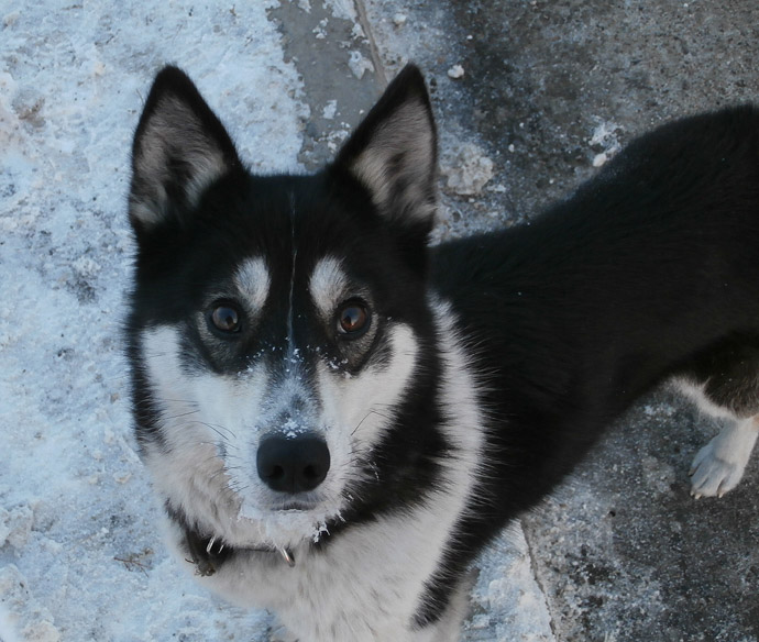 ����� �����2