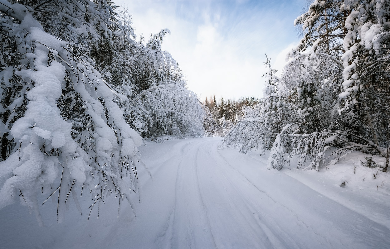 ������� ��������...