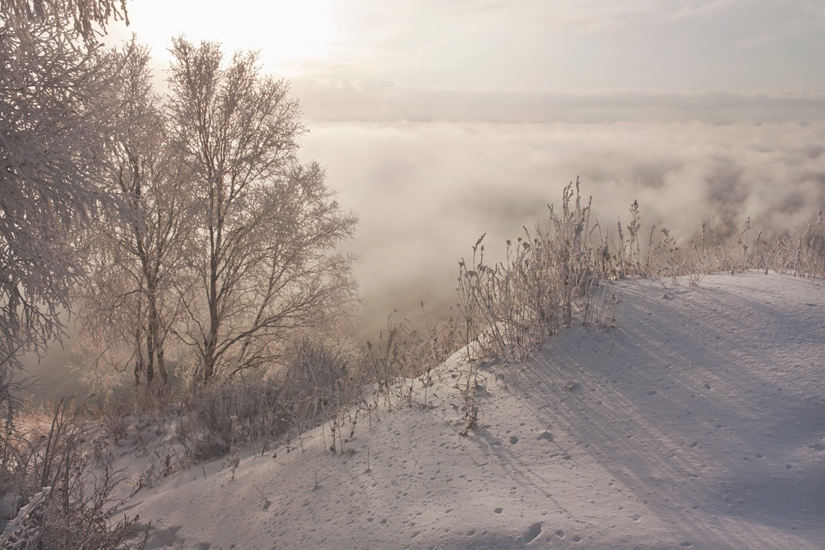 ��� ��������