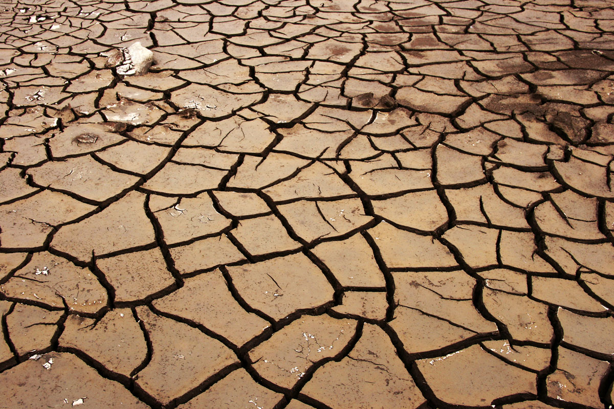 �� ��������� �������