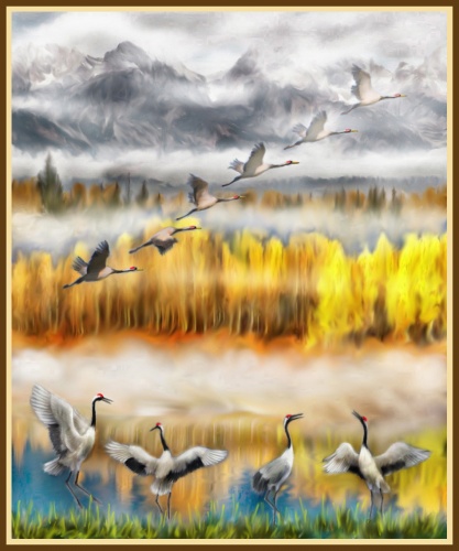 ���������� ���� ����� (���-������������� STENBOO)