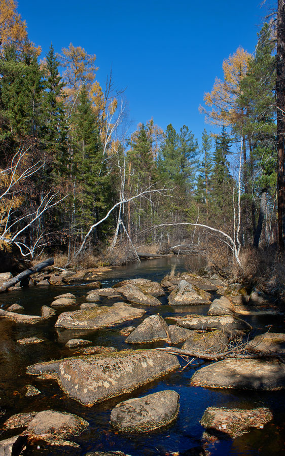 ������� ����