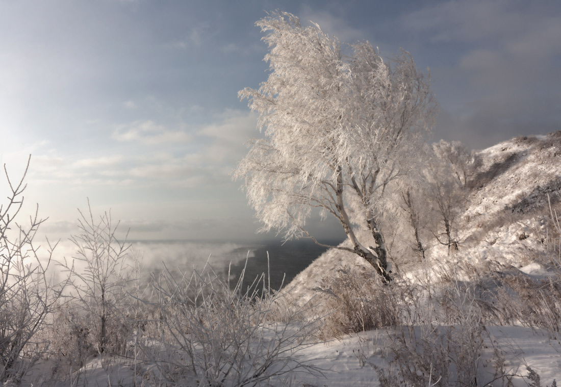 ������ ������