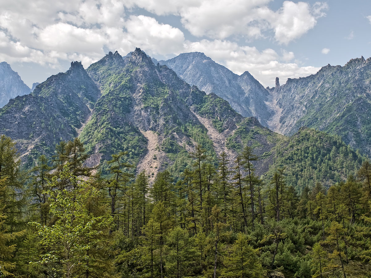 �������