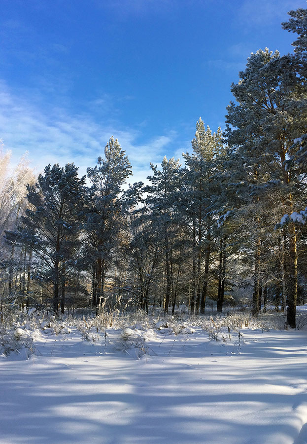 �� ������ � ��������...