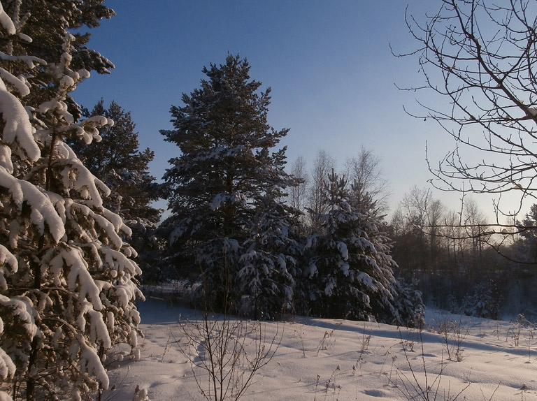 ����� ����������...