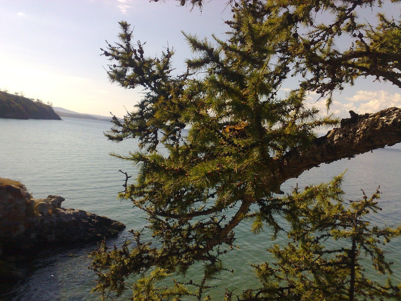 ������ �. ������