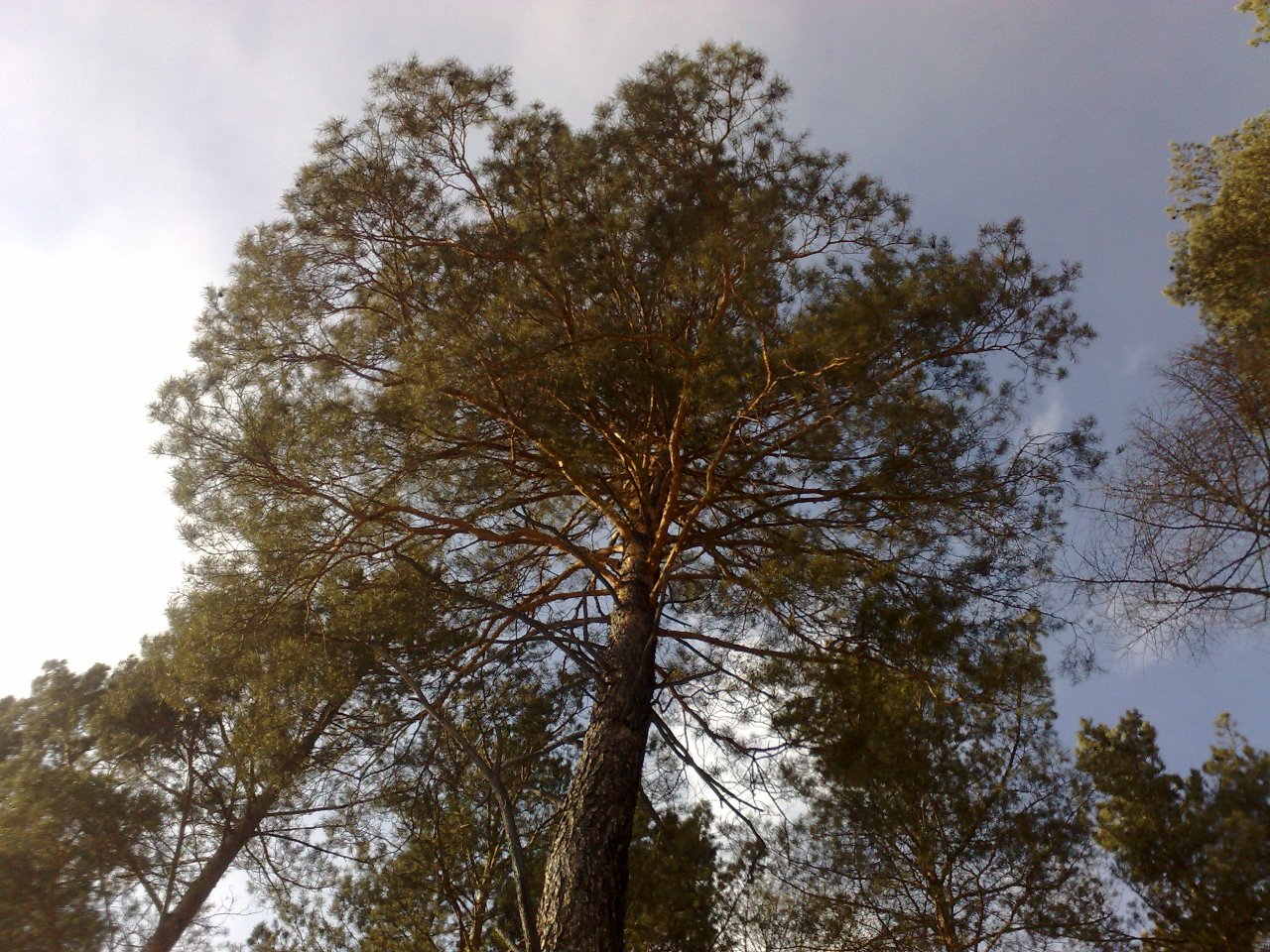 "�������, �����, ����� ��������, ��� ��������� ������� ��������� ���������"