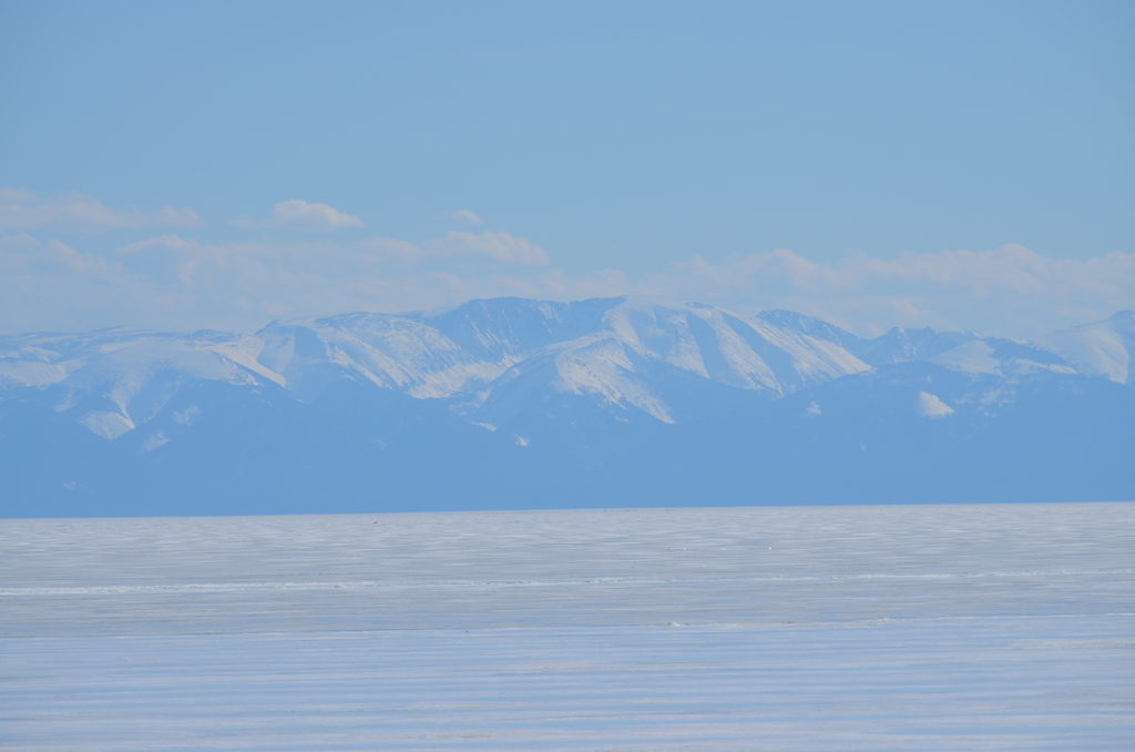 ���� �����