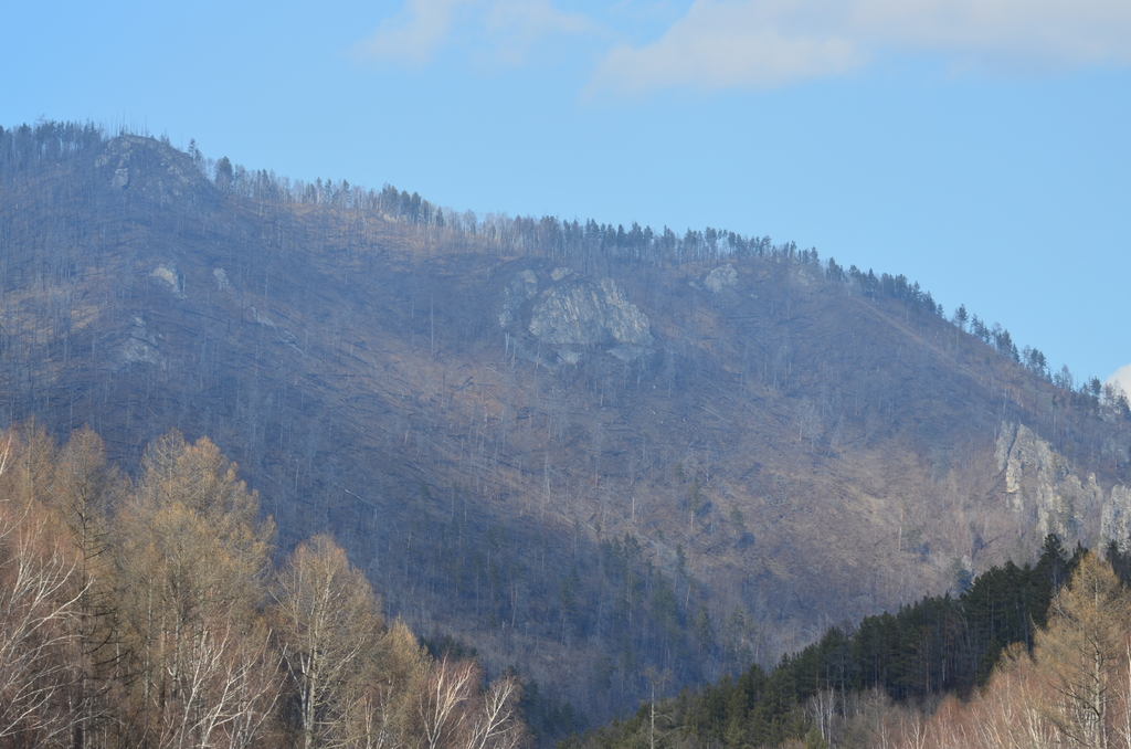 �������������� �����