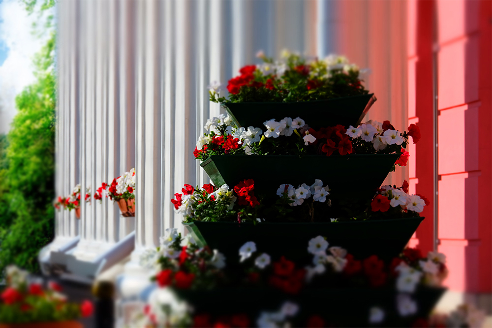 �ѣ��, ���ɣ���� (2)