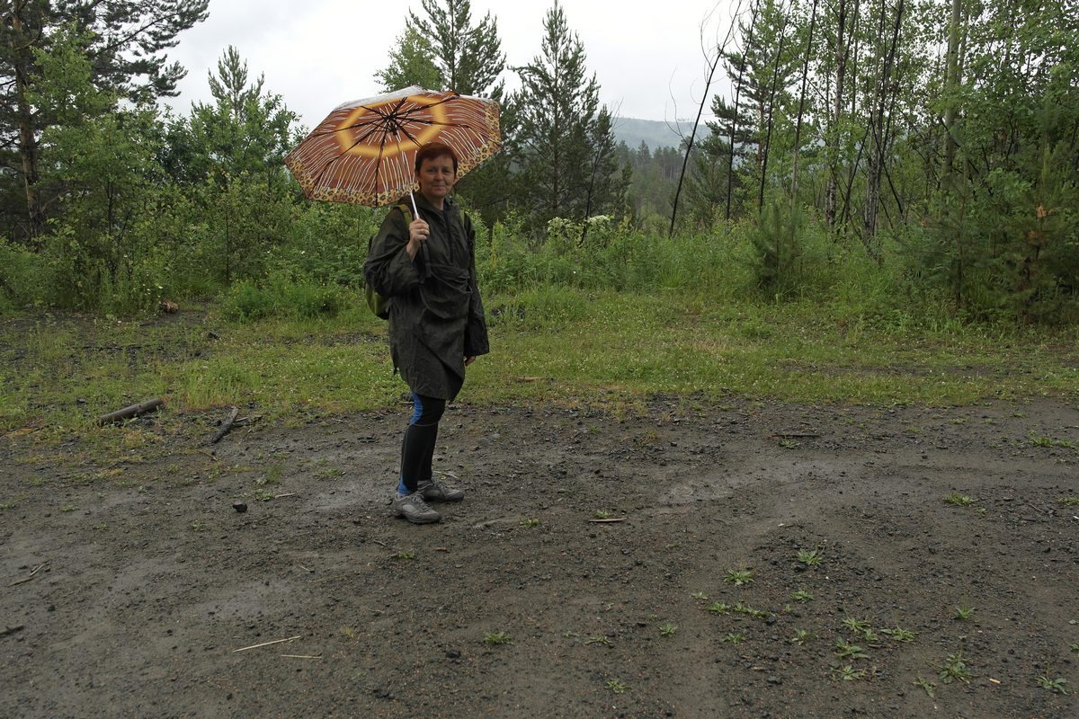 12.13. ������, ����������� � ������.