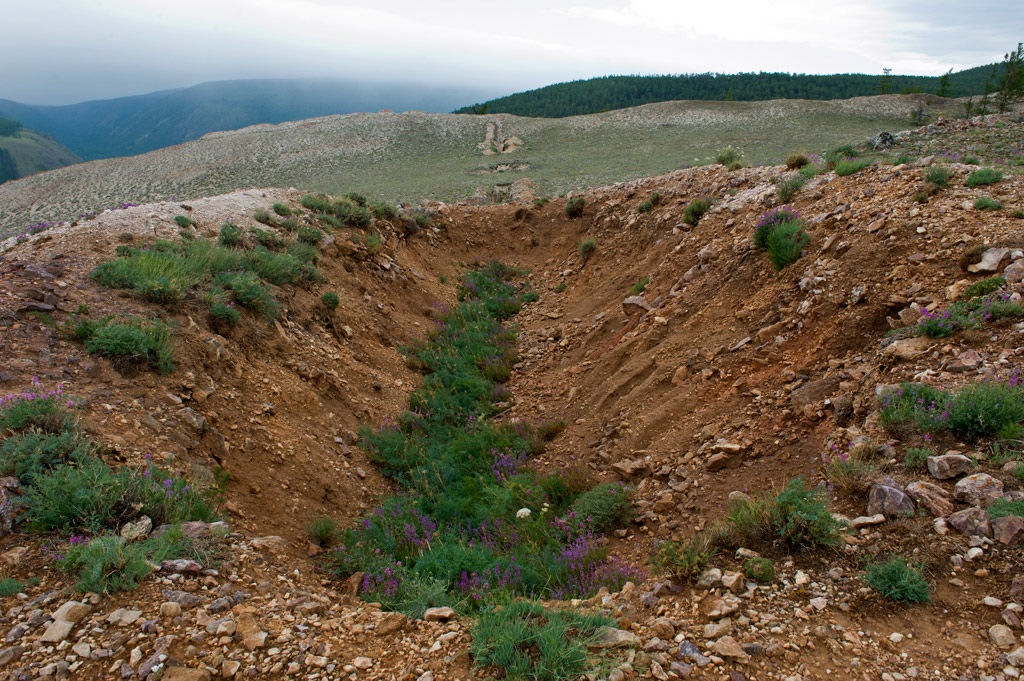 �� ������� ���� ����� �������� ���������� �������� �������-���������