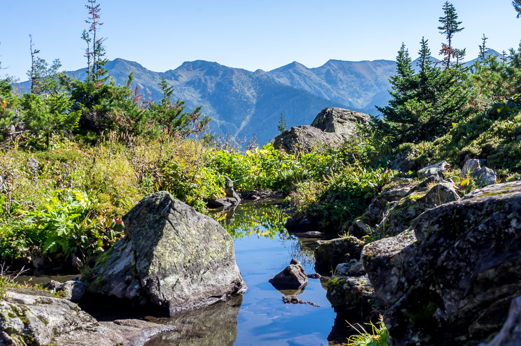 Хамар дабан фото