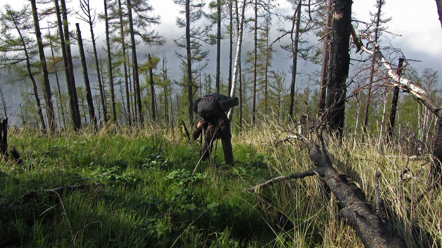 �������� ������ ������ � ���������� �������