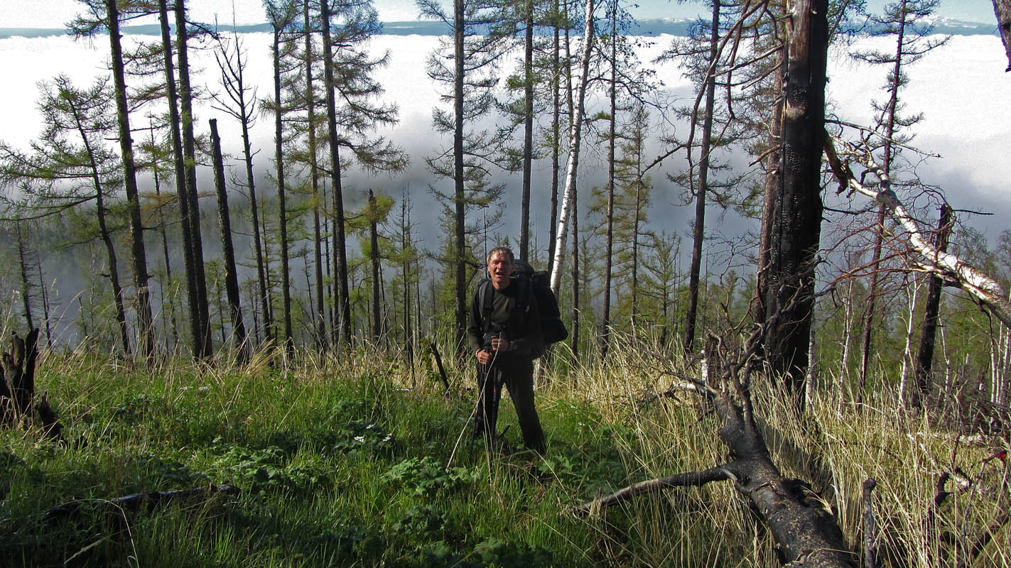 �������� ������ ������ � ����� ��������� �������