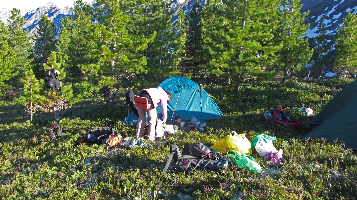 ������ �� �����