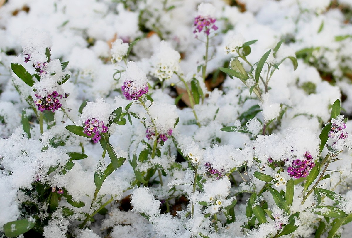 �� ��� �  ������ ����!  �������.