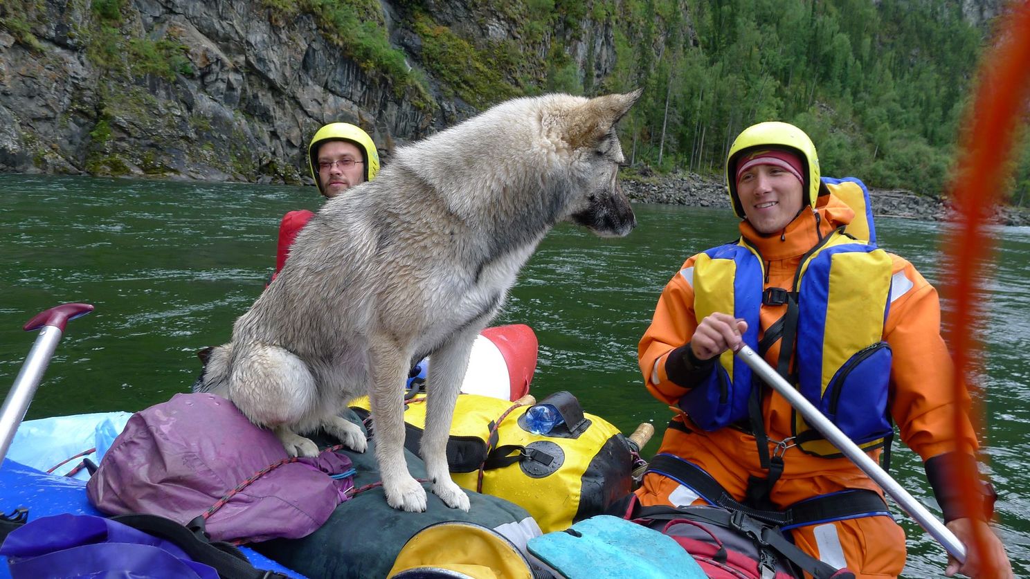 �������� ����-����2