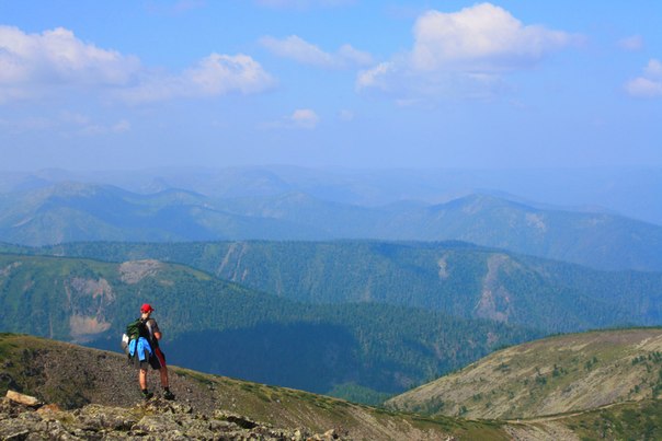 "������ ���"