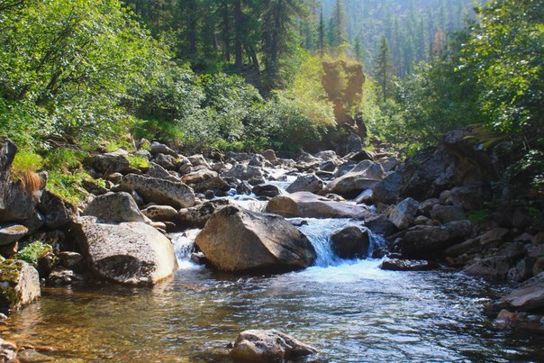 ������ �������