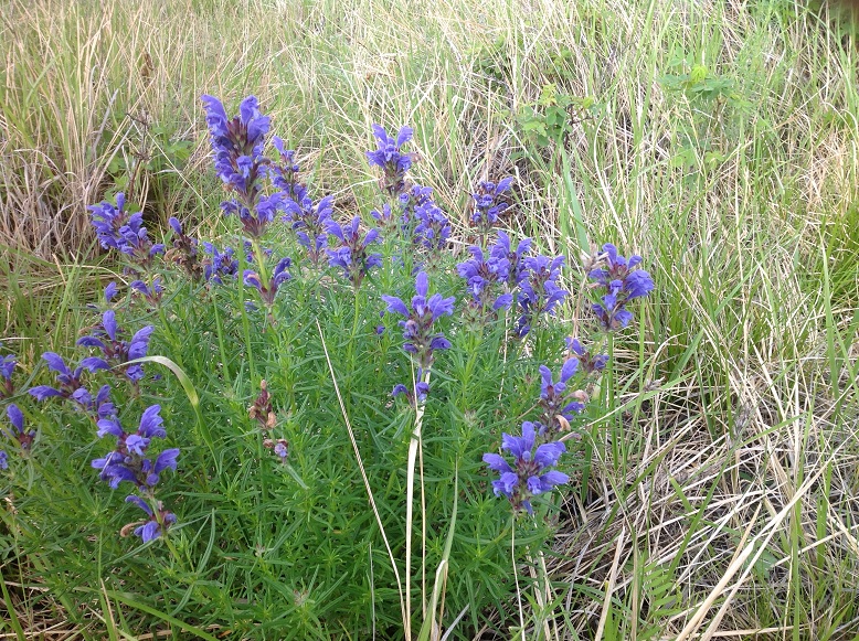 ������������ �����