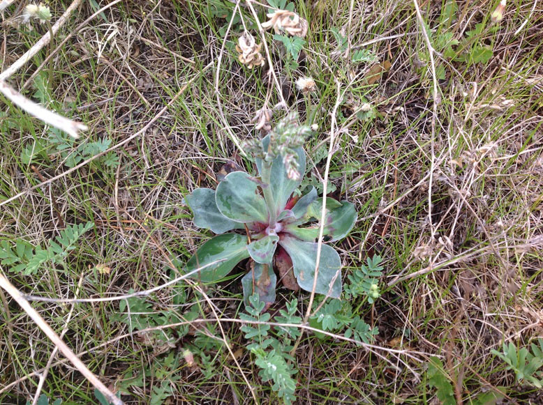 ���������� ��������