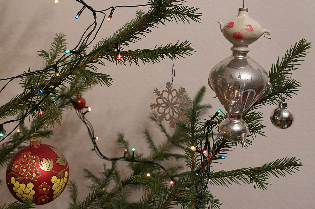 ������� � ��������