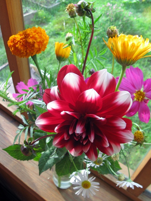 ������ �����...