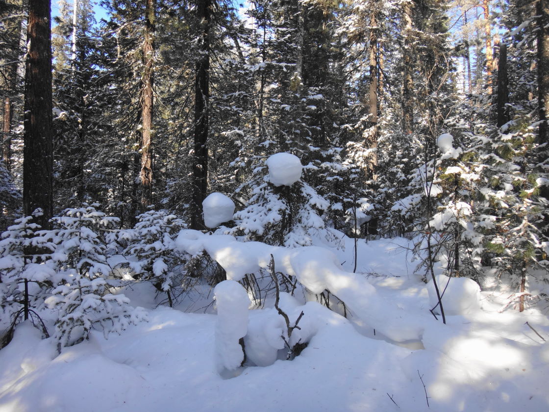 �������.