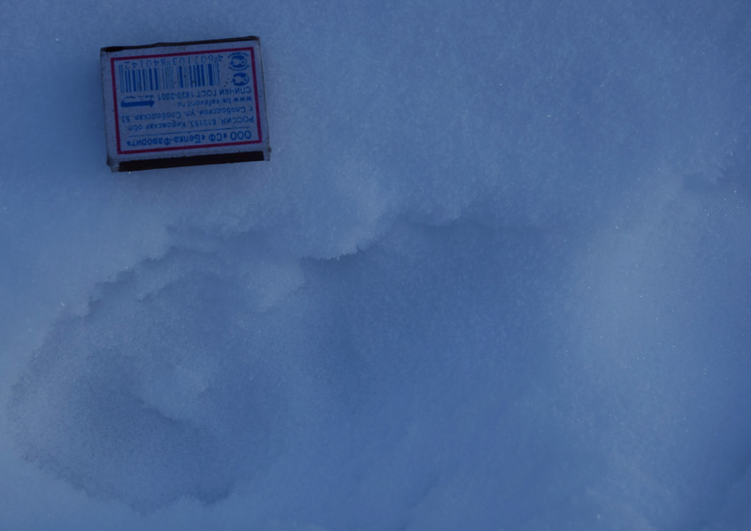 ����� �� ���� ��������