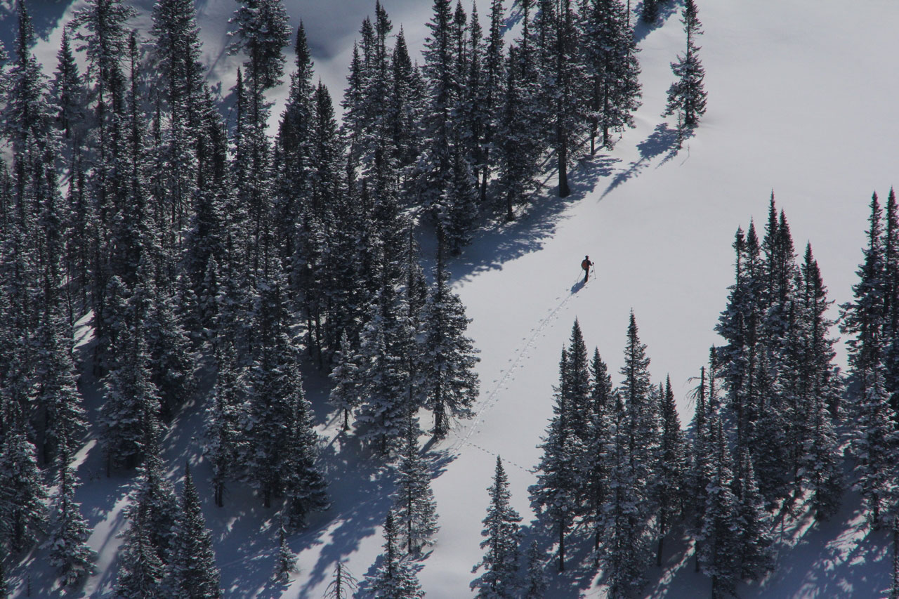 �� ������� ����