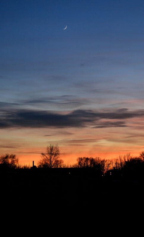 ����� �������