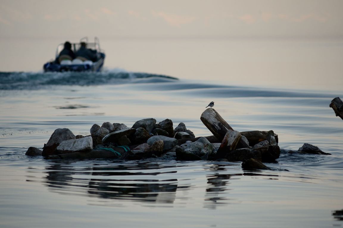 ������� � �����......��� ��������