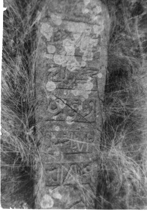 ������ � ������