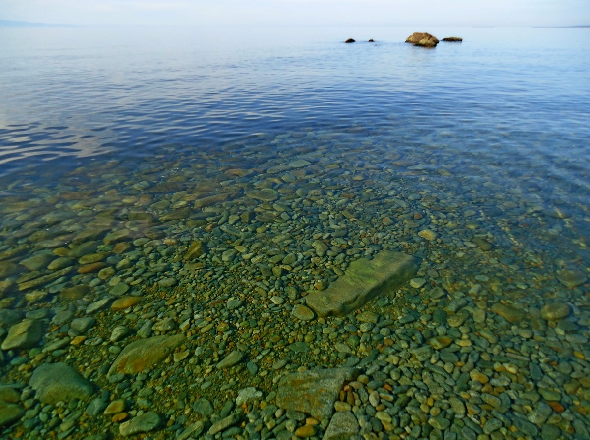 Воды байкала чисты и прозрачны. Дно озера Байкал. Озеро Байкал вода. Озеро Байкал прозрачность воды. Прозрачная Байкальская вода.