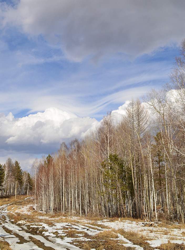 ����� � ����