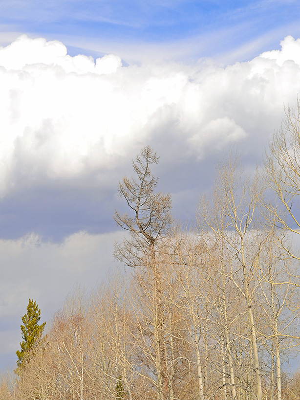 ���������� ���������