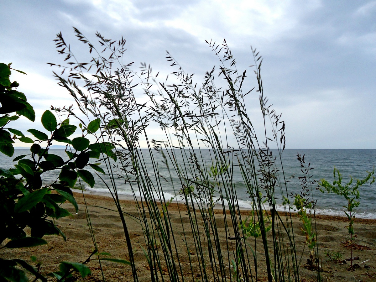 ����� �������