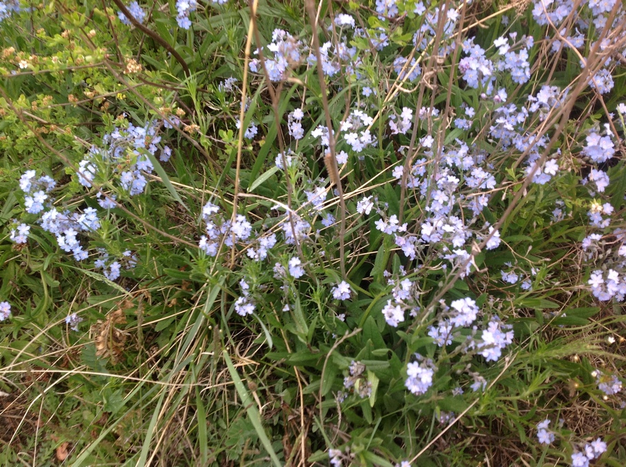 �������?